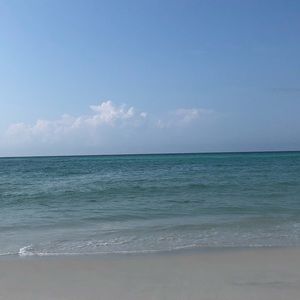 Meet your Posher, Barry